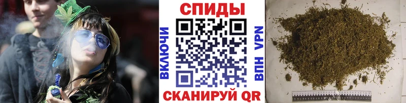 купить   Асино  KRAKEN tor  Бутират буратино 