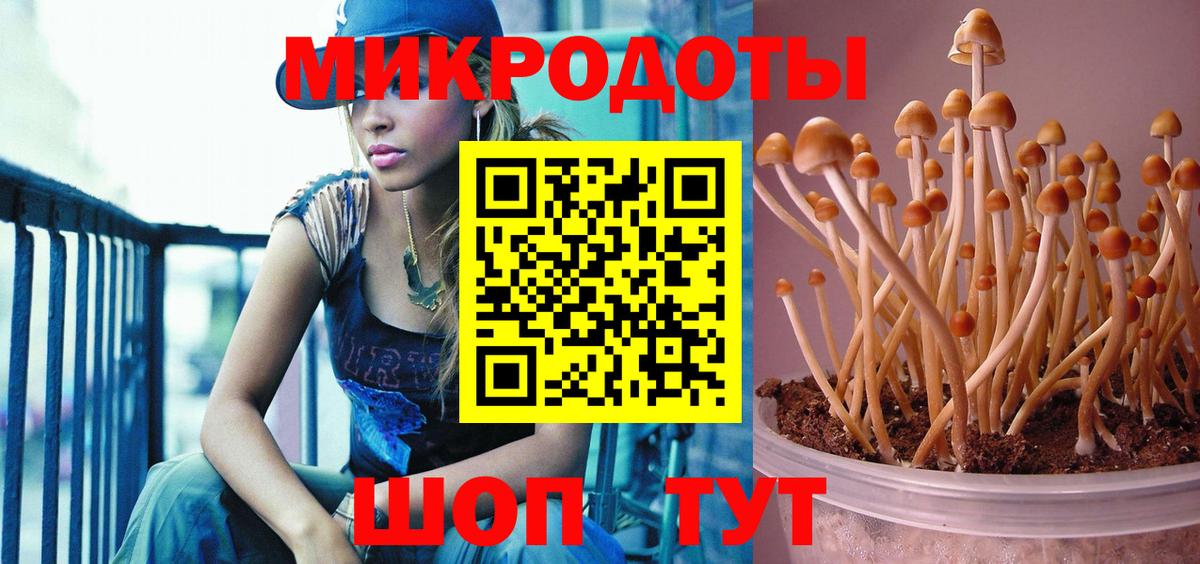 Псилоцибиновые грибы MAGIC MUSHROOMS Асино