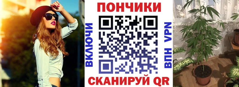 Канабис индика Асино