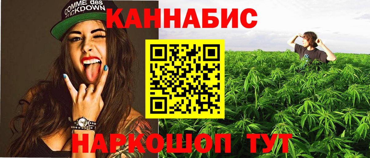 Каннабис OG Kush  МАРИХУАНА марихуана  Асино 